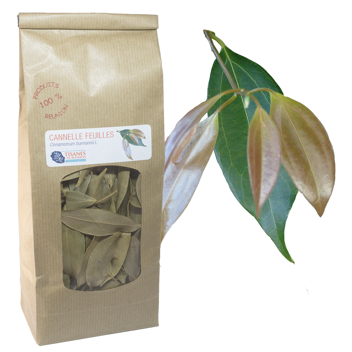 Cannelle feuilles (Cinnamomum burmannii L.), feuilles séchées, sachet –  Tisanes de Bourbon