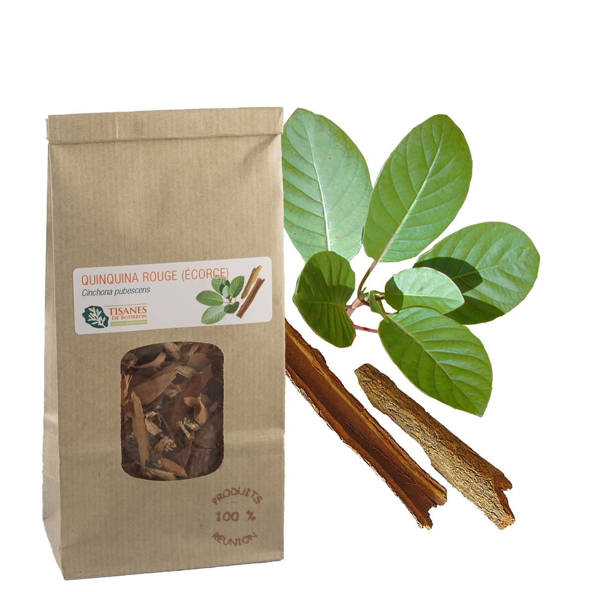 Quinquina rouge (Cinchona pubescens), écorce, sachet 30g – Tisanes de  Bourbon