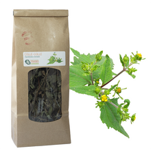 Charger l'image dans la galerie, Colle-colle (Sigesbeckia orientalis), feuilles séchées, sachet 40g