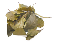 Charger l'image dans la galerie, Café marron (Coffea mauritiana Lam.), feuilles séchées, sachet 40g