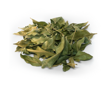 Charger l'image dans la galerie, Patte poule (Vepris lanceolata), feuilles séchées, sachet 40g