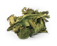 Charger l'image dans la galerie, Bois d'osto (Antirhea borbonica), feuilles séchées, sachet 40g