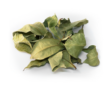 Charger l'image dans la galerie, Bois de pêche marron (Psiloxylon mauritianum), feuilles séchées, sachet 40g