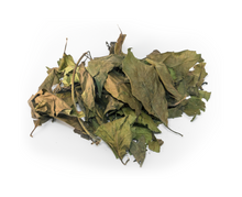 Charger l'image dans la galerie, Lingue café (Mussaenda arcuata), feuilles séchées, sachet 40g