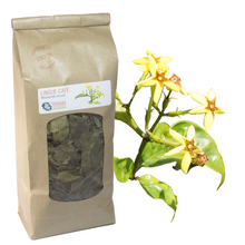 Charger l'image dans la galerie, Lingue café (Mussaenda arcuata), feuilles séchées, sachet 40g