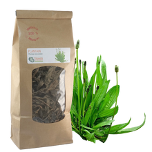 Charger l'image dans la galerie, Plantain (Plantago lanceolata), feuilles séchées, sachet 40g