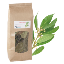 Charger l&#39;image dans la galerie, Ravintsara (Cinnamomum camphora), feuilles séchées, sachet 40g
