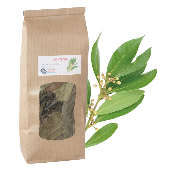 Ravintsara (Cinnamomum camphora), feuilles séchées, sachet 40g
