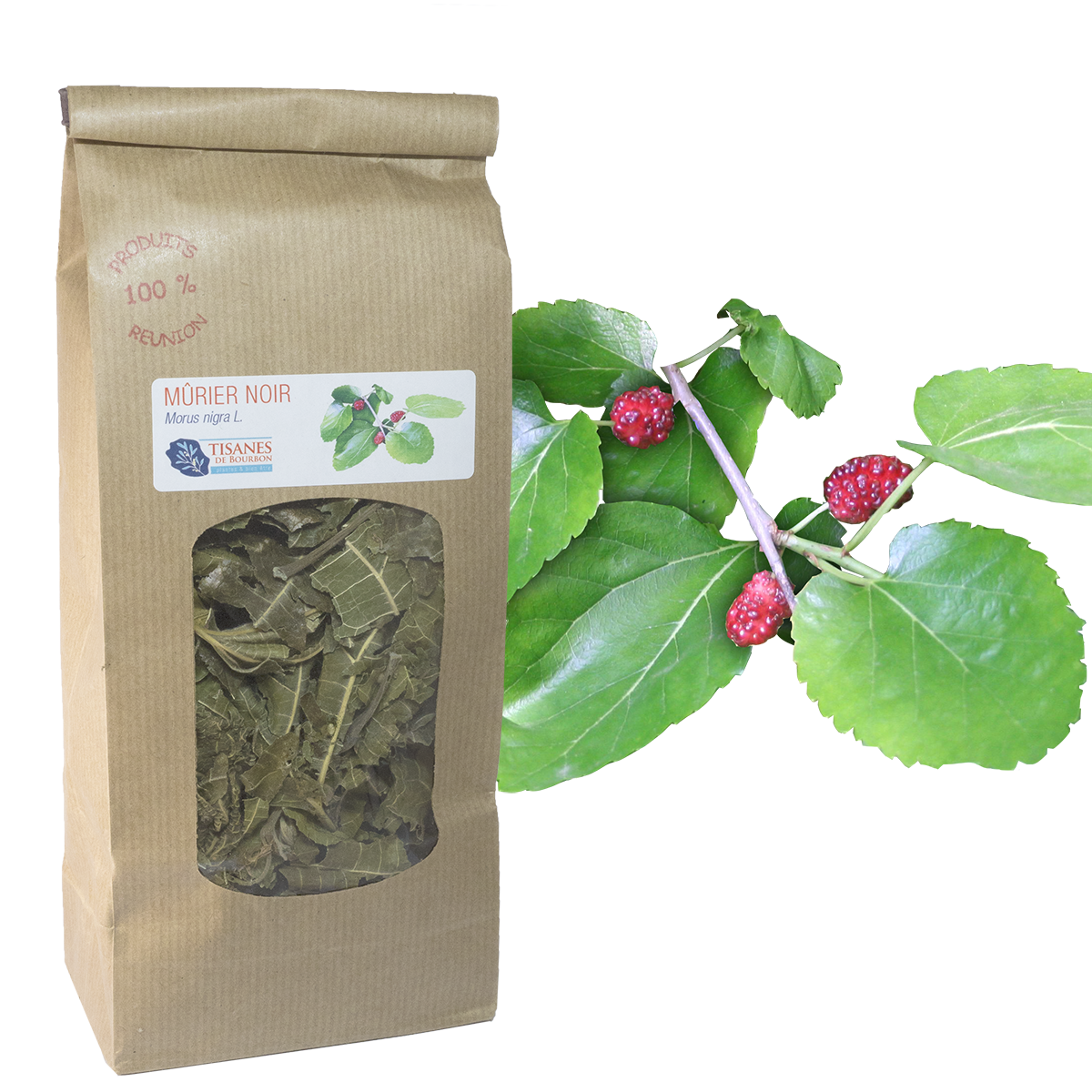 https://tisanesdebourbon.fr/cdn/shop/products/PLK005-Murier-noir.png?v=1609149625