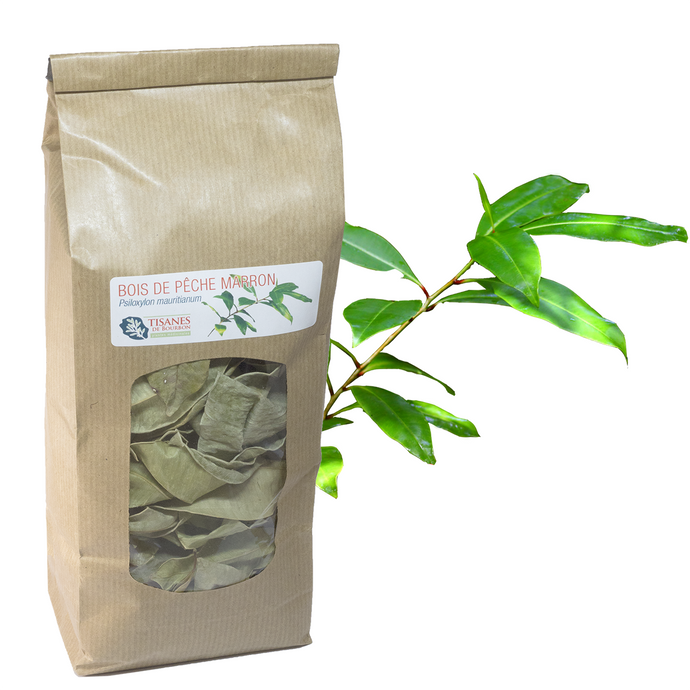 Bois de pêche marron (Psiloxylon mauritianum), feuilles séchées, sachet 40g