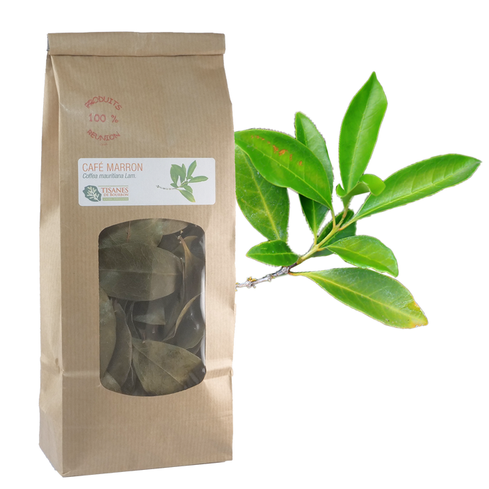 Café marron (Coffea mauritiana Lam.), feuilles séchées, sachet 40g